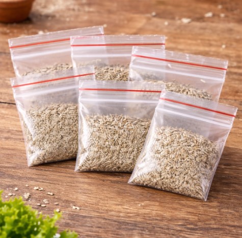 5 gói hạt giống xà lách trồng tại nhà